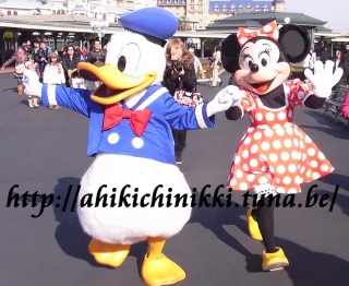 �C�����|�@-�����h-