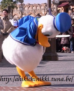 �i�������j