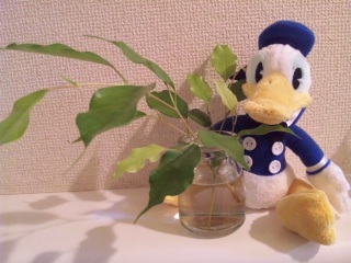 �W���X�~��